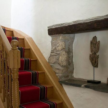 Ty-Hapus Cottage Jordanston المظهر الخارجي الصورة