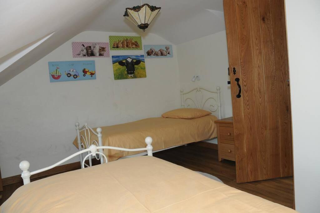 Ty-Hapus Cottage Jordanston المظهر الخارجي الصورة